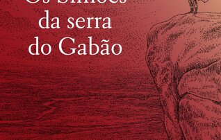 05ter_os_simoes_da_serra_do_gabao