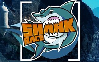 shark_race2019