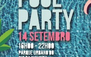 pool_party_poster_a31_404x202