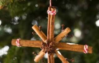 06sab_enfeites_de_natal_com_cheirinho_a_especiarias
