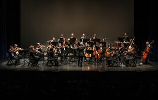 14dom_harmonias_de_viena