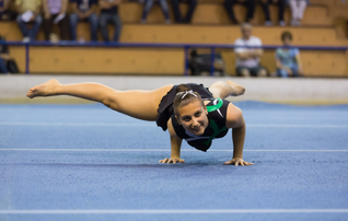 campeonato_regional_acrobatica_2026_agenda