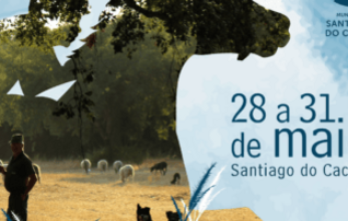 santiagro_2026_redes_sociais_1_404x202