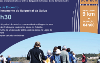 redes_sociais_caminhada_da_lagoa_passeios_da_nossa_terra_404x202