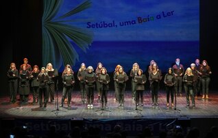 24ter_setubal_uma_baia_a_ler