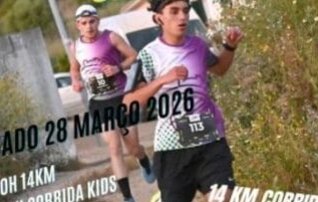 night_run2026_404x202