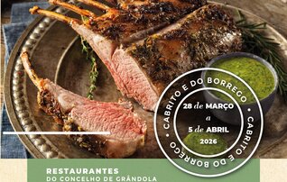 b_c_marco_a4_revisao1