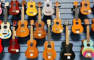 25qua_amigos_dos_cordofones_cancoes_de_zeca_afonso