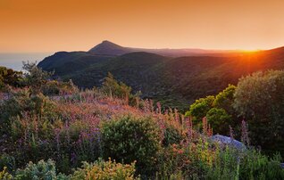 15qua_convento_e_vegetacao_da_arrabida