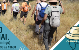 redes_sociais_passeios_pela_nossa_terra_caminho_historico_da_rota_vicentina_404x202