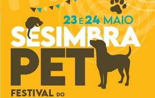 pet_500x700