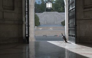 o_palacio_de_cidadaos_filme