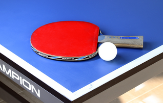 para_tenis_mesa