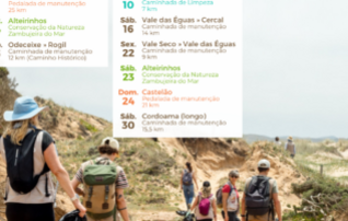 pt_calendario_voluntariado_2t_404x202