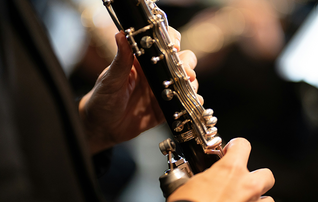 concerto_de_natureza_dia_ambiente_2026