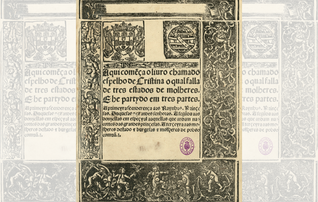 impressionario_espelho_cristina