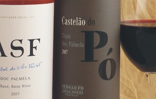 fernao_po_adega_winery