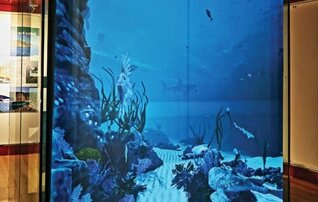 aquario_museu
