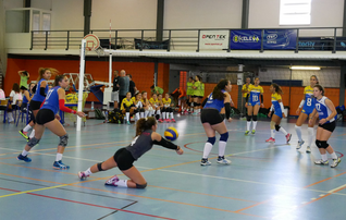 voleibol_juniores