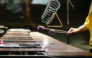 cmm_peixinhoomestre2