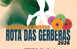cartaz_rota_gerberas_600
