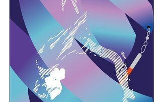 cartaz_festigina_600