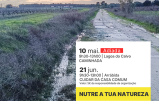 redes_adiada