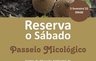 reserva_sabado_micologico_diarioregiao_128x155mm