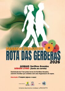 Cartaz RGerberas