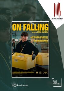 banner vertical  on falling_cinema pt_17 set 2026