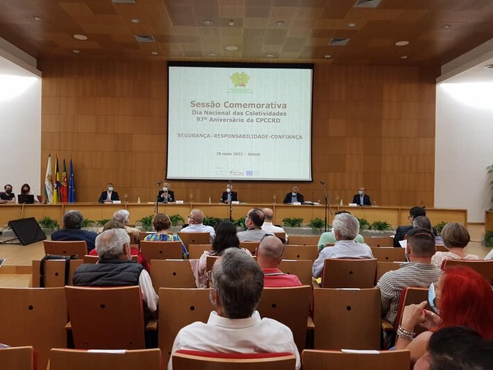 foto colectividades
